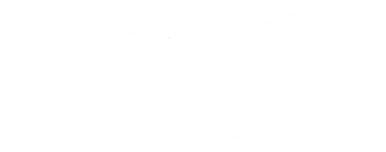 PlugEnProtect
